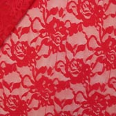 Kód: 39434 Elasztikus csipke - ROSSO 251